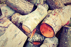 Torr wood burning boiler costs